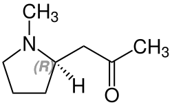 (+)-Hygrine