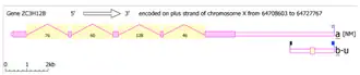 Aceview single-predicted mRNA variant in ZC3H12B.