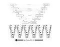 Agile/DevOps shift-left testing