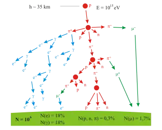 A branching tree representing the particle production