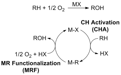 AlkaneOxCy