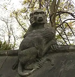 Baboons