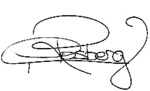 Nico Rosberg signature
