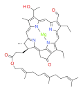 bacteriochlorophyll f