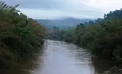 Bhadra River