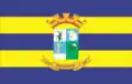 Flag of Terenos