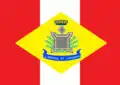 Proposal for flag of the Federal Territory of Amapá (1984). Never adopted.