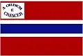Flag of Barra do Mendes