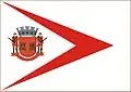 Flag of Buri