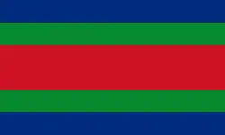 Flag of Los Chiles