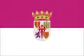 Flag of Villanueva de los Infantes