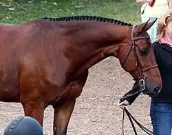 Hunter braids