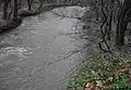 Beaver Creek expands into its floodplain after a sizable rainfall.