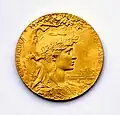 Reverse of the gold medal
