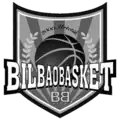 Non-commercial logo since 2009
