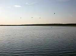 Lake Boevka