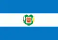 Flag of Borba