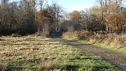 Bricket Wood Common