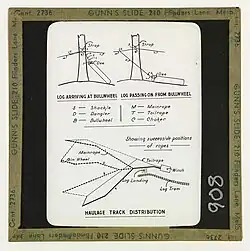 Cable logging terms