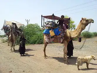 Caravan near Mundra, Kutch