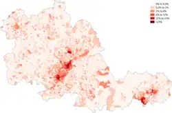 Asian-Chinese