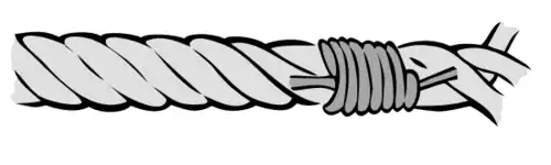 whipping - finished