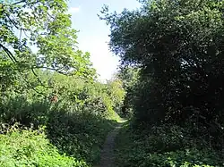 Path in Coppett's Wood