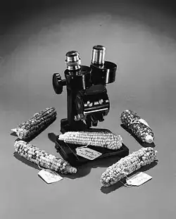 Greenough-type microscope with discrete magnifications controlled by the revolving drum