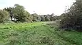 Cranham Marsh