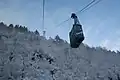 Danglo.