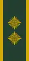 Police of Denmark