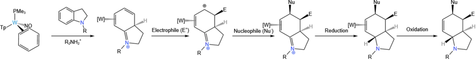 An example synthesis utilizing the dearomatization of arenes