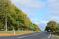 'Canadian Elm' ( = 'Canadian Giant'), Avenue of Honour, Digby, Victoria (2015), grown back after pruning[6]