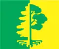 Flag of Paikuse Parish
