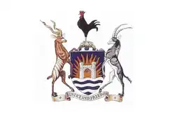 Flag of Mutare
