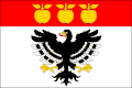 Flag of Nechvalice