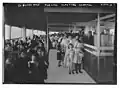 Milk line on Floating Hospital