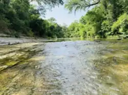 This is a forested stream with clear water