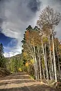 Fall Colors along Hell's Backbone Road