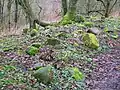 Higgin's House ruins, an old cottage once visited by Robert Burns and Richard Brown