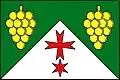 Flag of Hodonice