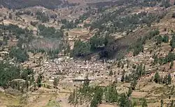Huari