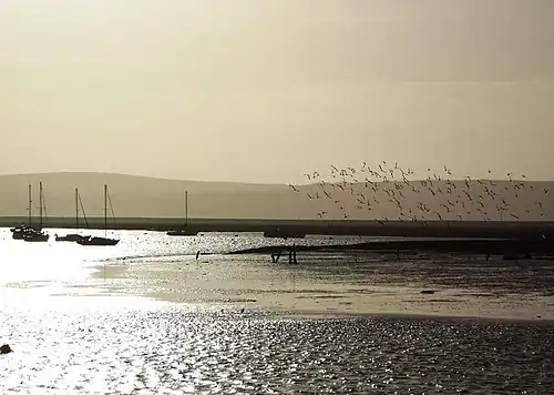 Image 25Winter sunshine at Keyhaven (from Portal:Hampshire/Selected pictures)