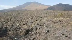 Landscape of Mount Cameroon
