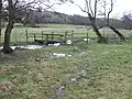 Lea Meadows