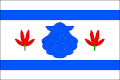 Flag of Lesnice