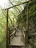 The Lieserpfad is part of the Eifelsteig