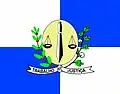 Flag of Lupionópolis