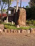Petrified wood