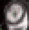 An image with two markers (green), and a Minimum Spanning Forest computed on the gradient of the image.